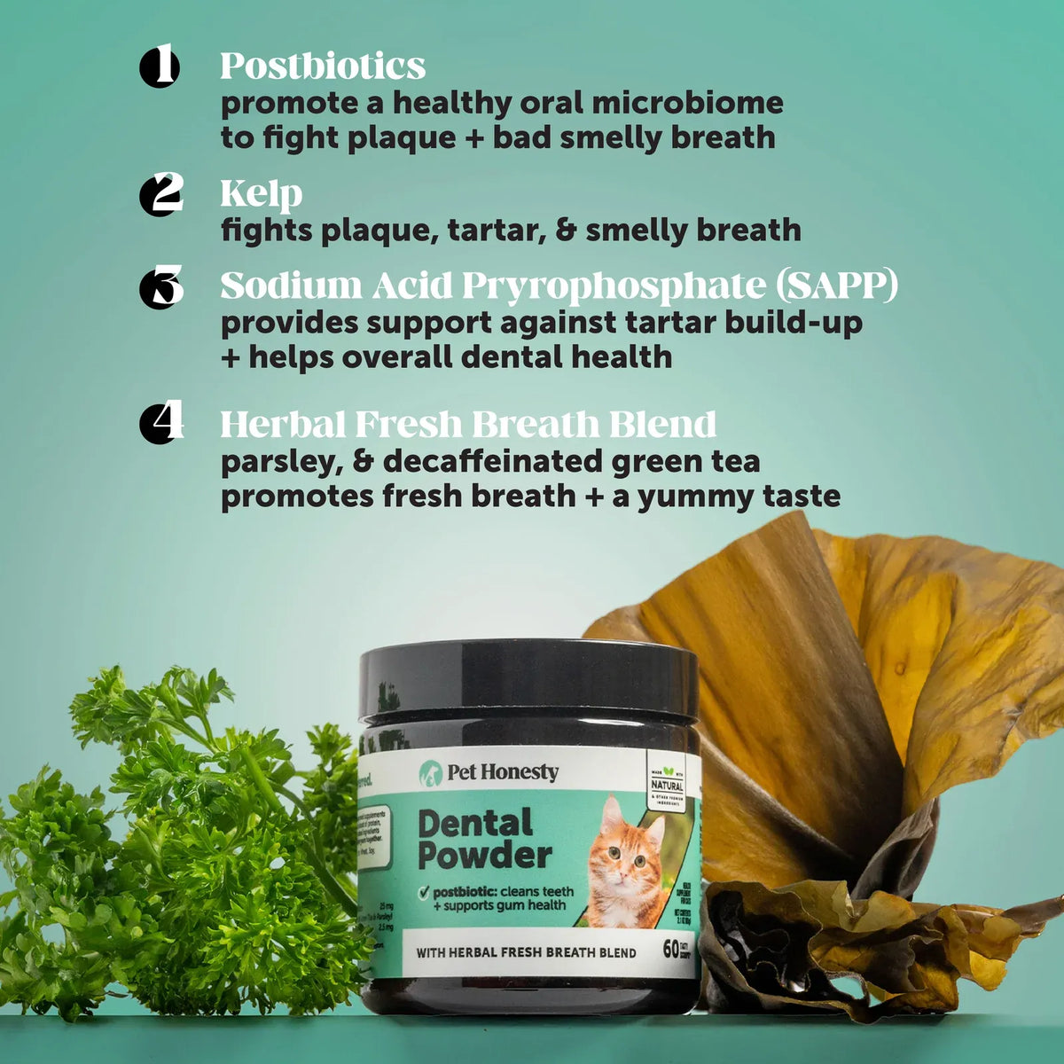 Cat Dental Powder for Plaque, Tartar and Fresh Breath Support with Parsley and Decaffeinated Green Tea