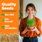 Cat Grass Seeds Pack with Four Varieties, USA-Harvested Heirloom Non-GMO Greens for Indoor Cat Growing
