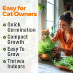 Cat Grass Seeds Pack with Four Varieties, USA-Harvested Heirloom Non-GMO Greens for Indoor Cat Growing