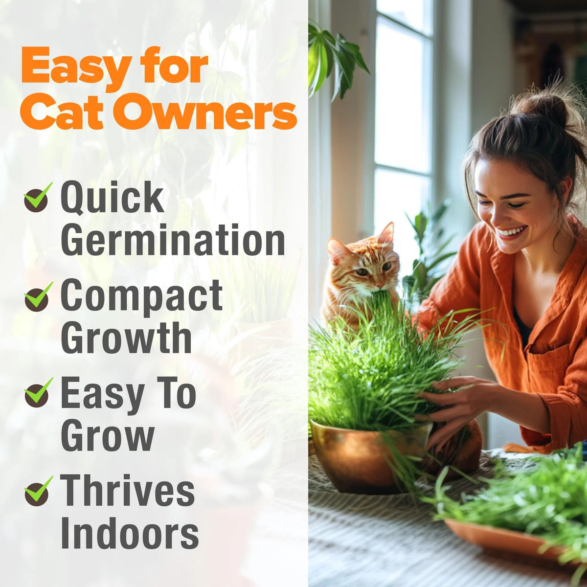 Cat Grass Seeds Pack with Four Varieties, USA-Harvested Heirloom Non-GMO Greens for Indoor Cat Growing