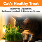 Cat Grass Seeds Pack with Four Varieties, USA-Harvested Heirloom Non-GMO Greens for Indoor Cat Growing