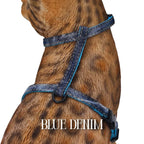 Cat Harness, Adjustable Escape-Resistant Walking Design with Swivel Back Strap and Colorful Reflective Styles