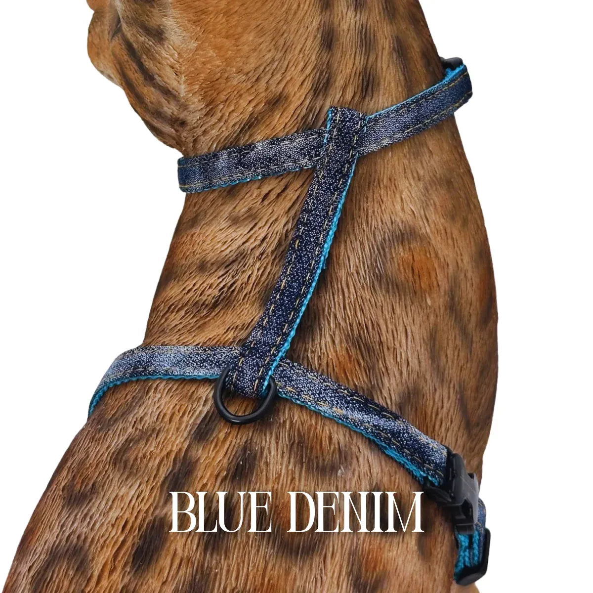 Cat Harness, Adjustable Escape-Resistant Walking Design with Swivel Back Strap and Colorful Reflective Styles
