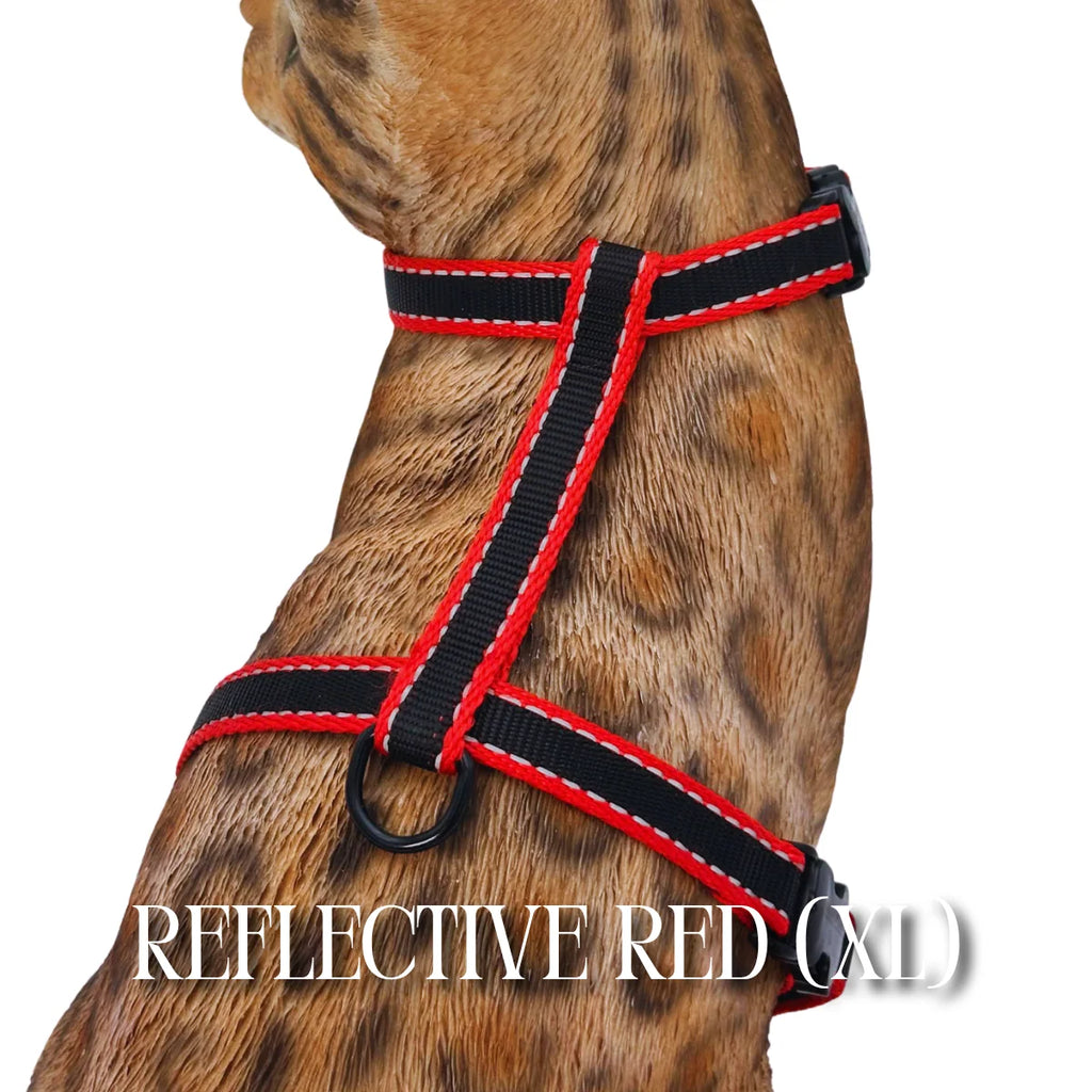 Cat Harness, Adjustable Escape-Resistant Walking Design with Swivel Back Strap and Colorful Reflective Styles