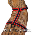 Cat Harness, Adjustable Escape-Resistant Walking Design with Swivel Back Strap and Colorful Reflective Styles
