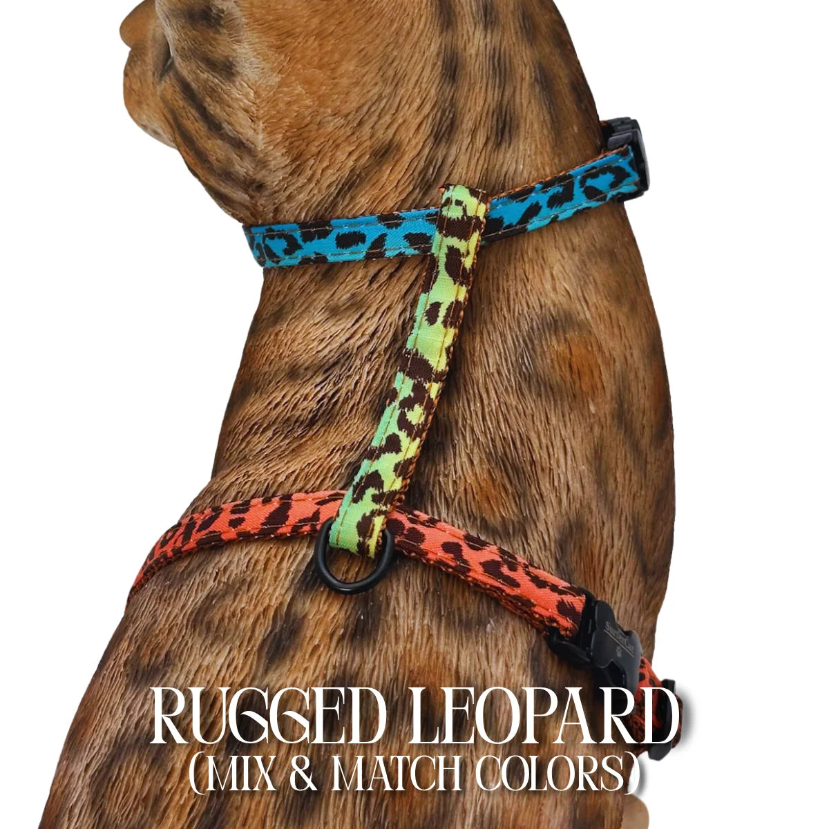 Cat Harness, Adjustable Escape-Resistant Walking Design with Swivel Back Strap and Colorful Reflective Styles