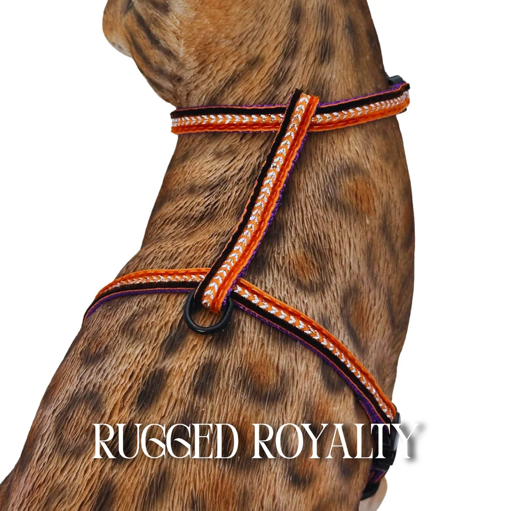 Cat Harness, Adjustable Escape-Resistant Walking Design with Swivel Back Strap and Colorful Reflective Styles