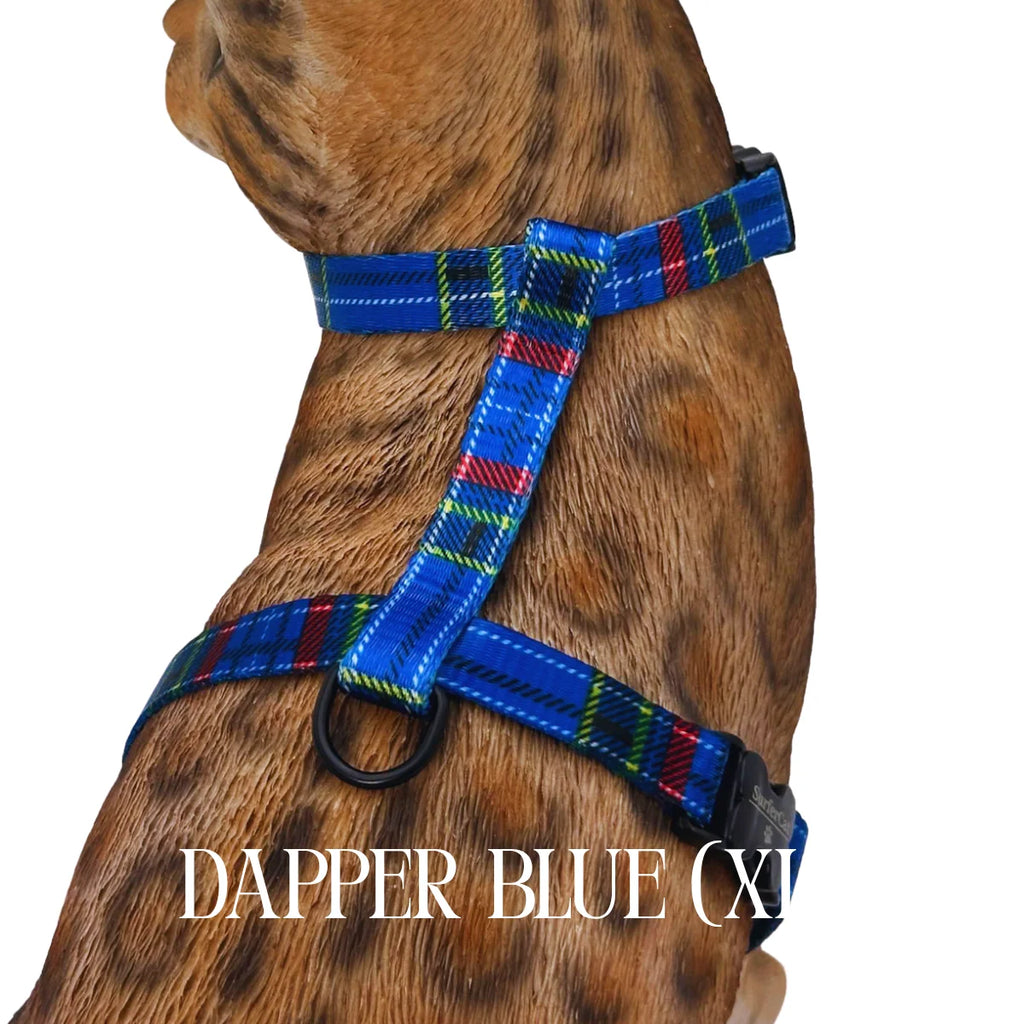 Cat Harness, Adjustable Escape-Resistant Walking Design with Swivel Back Strap and Colorful Reflective Styles
