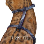 Cat Harness, Adjustable Escape-Resistant Walking Design with Swivel Back Strap and Colorful Reflective Styles