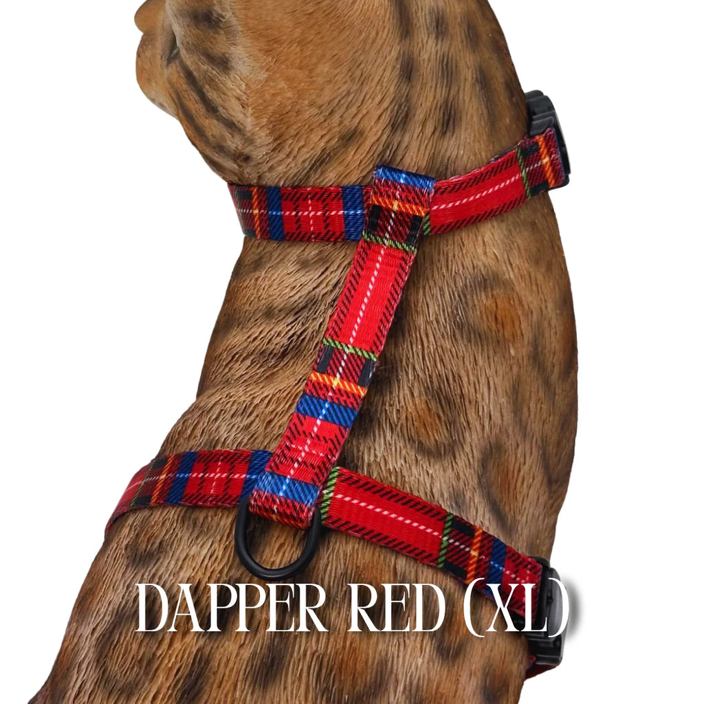 Cat Harness, Adjustable Escape-Resistant Walking Design with Swivel Back Strap and Colorful Reflective Styles