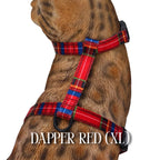 Cat Harness, Adjustable Escape-Resistant Walking Design with Swivel Back Strap and Colorful Reflective Styles