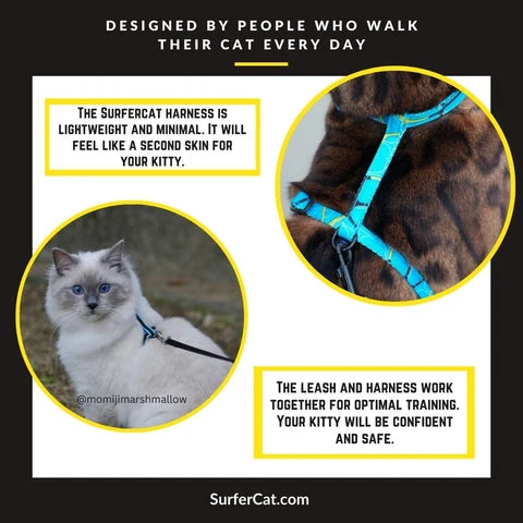 Cat Harness, Adjustable Escape-Resistant Walking Design with Swivel Back Strap and Colorful Reflective Styles