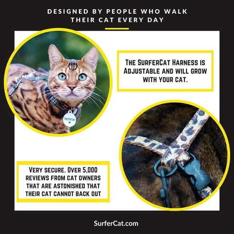 Cat Harness, Adjustable Escape-Resistant Walking Design with Swivel Back Strap and Colorful Reflective Styles