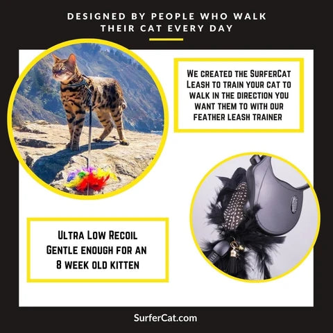 Cat Harness, Adjustable Escape-Resistant Walking Design with Swivel Back Strap and Colorful Reflective Styles