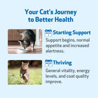 Cat Herbal Liquid Supplement