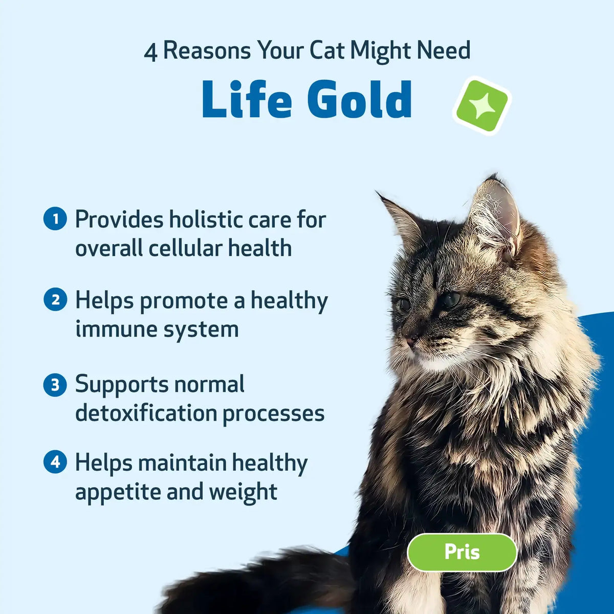Cat Herbal Liquid Supplement