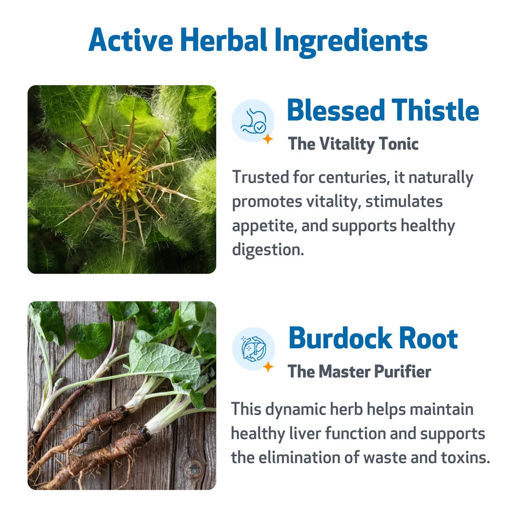 Cat Herbal Liquid Supplement