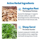 Cat Herbal Liquid Supplement