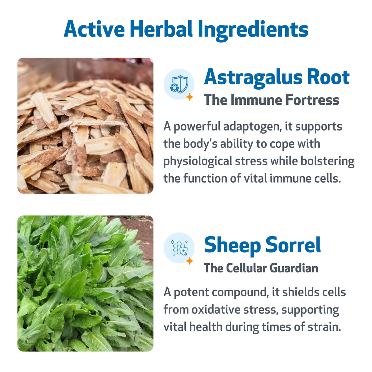 Cat Herbal Liquid Supplement