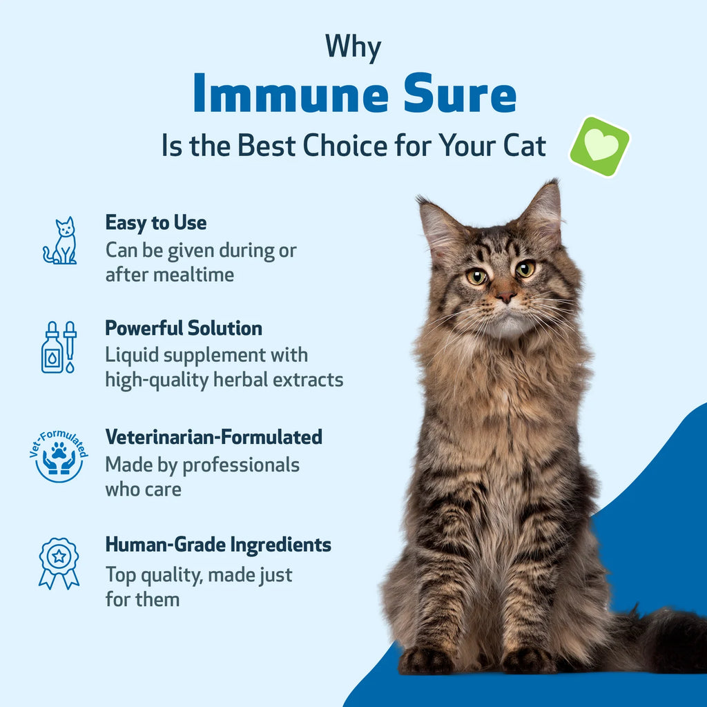 Cat Immune Support Liquid Supplement