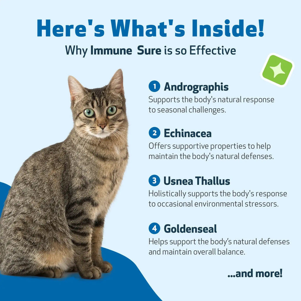 Cat Immune Support Liquid Supplement