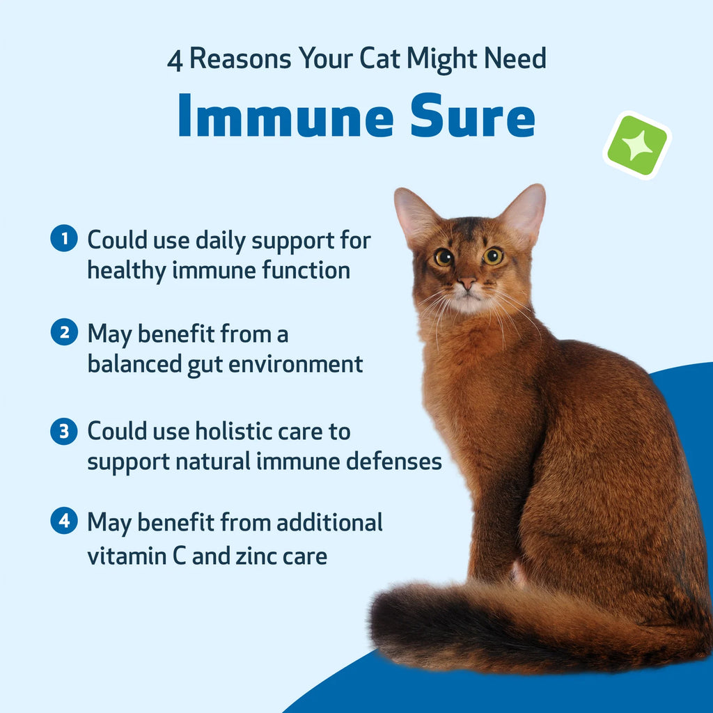 Cat Immune Support Liquid Supplement