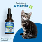 Cat Kidney Support Herbal Liquid Supplement