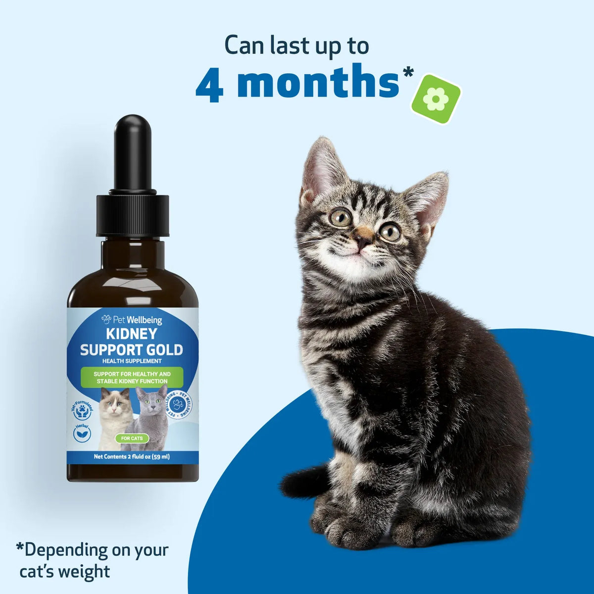 Cat Kidney Support Herbal Liquid Supplement