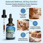 Cat Kidney Support Herbal Liquid Supplement