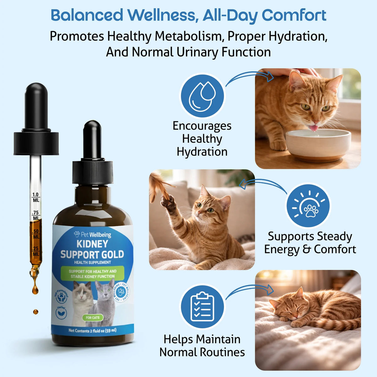 Cat Kidney Support Herbal Liquid Supplement