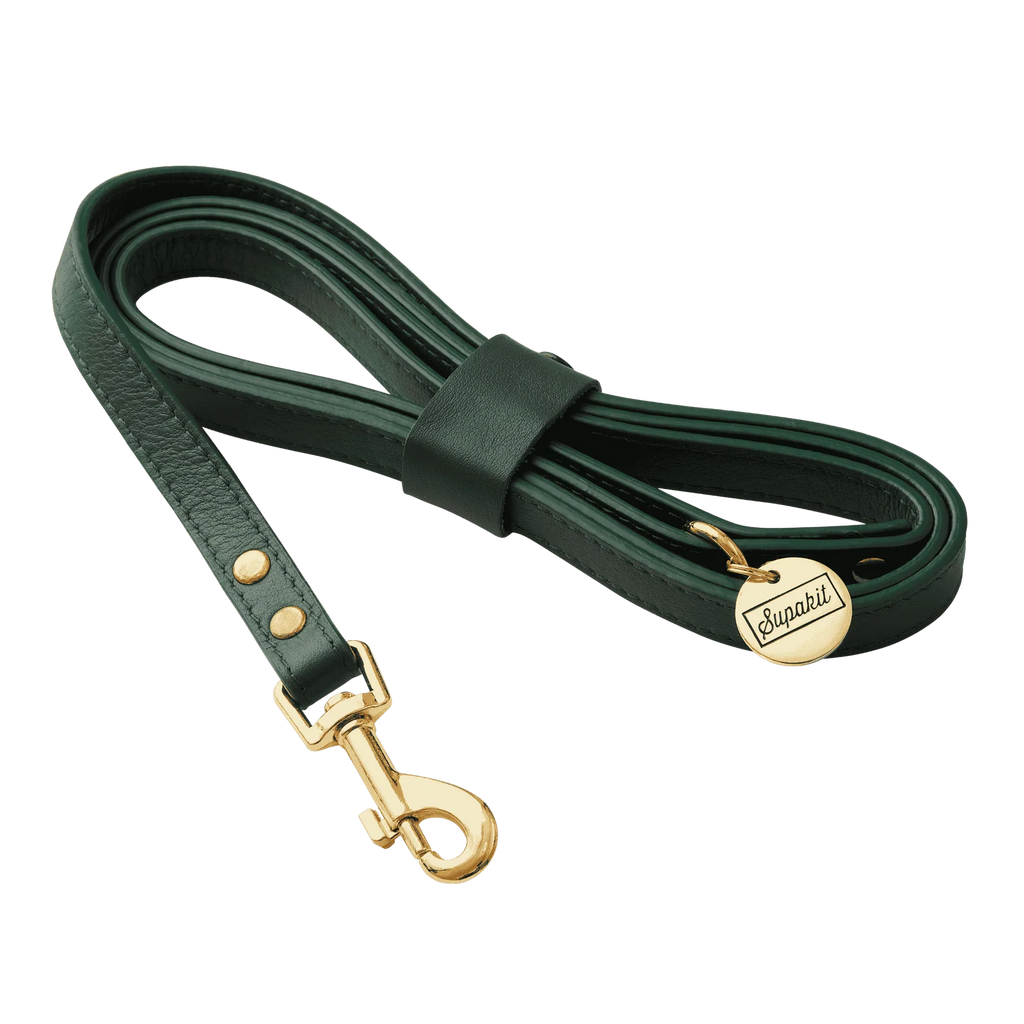 Cat Leash, Emerald Green / Leather