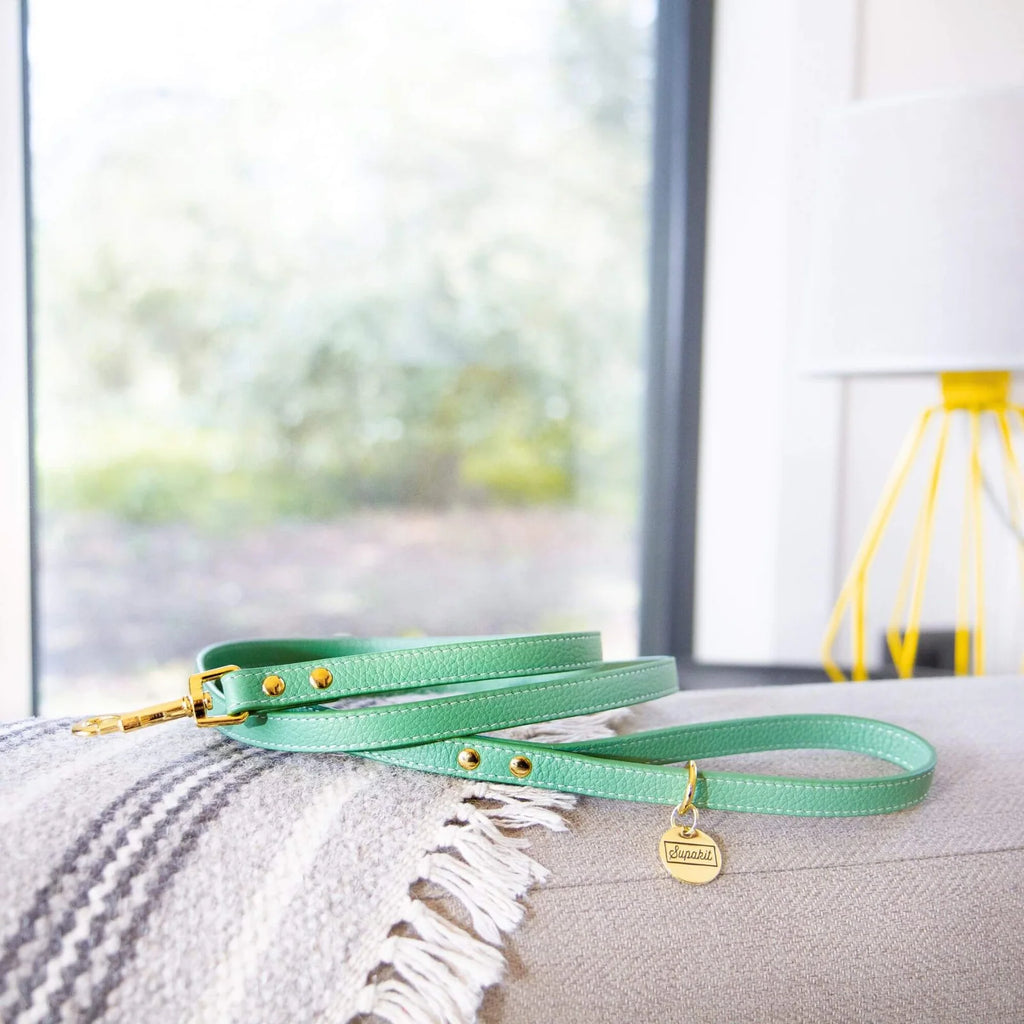 Cat Leash