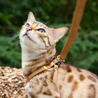 Cat Leash