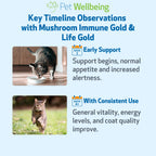Cat Supplement Kit