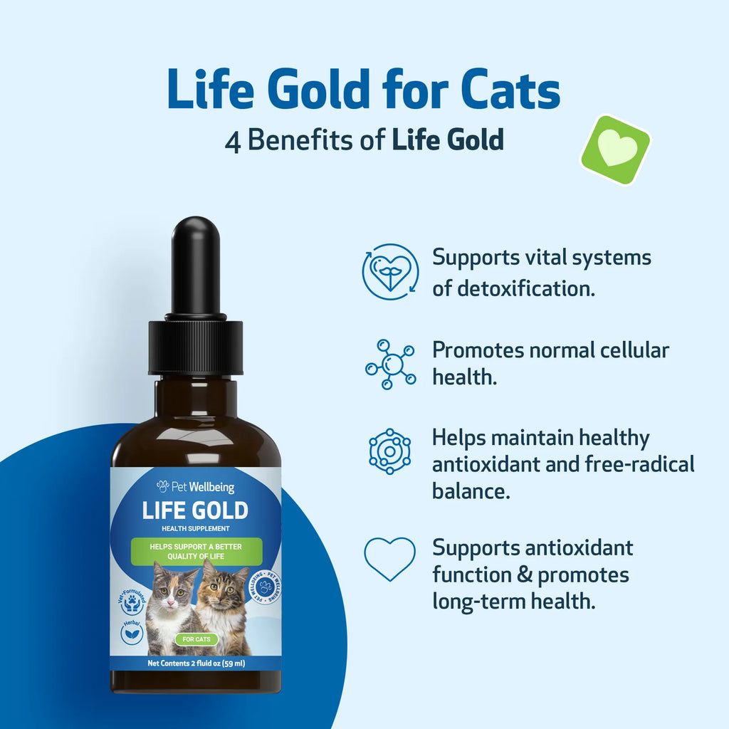 Cat Supplement Kit