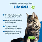 Cat Supplement Kit