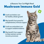 Cat Supplement Kit