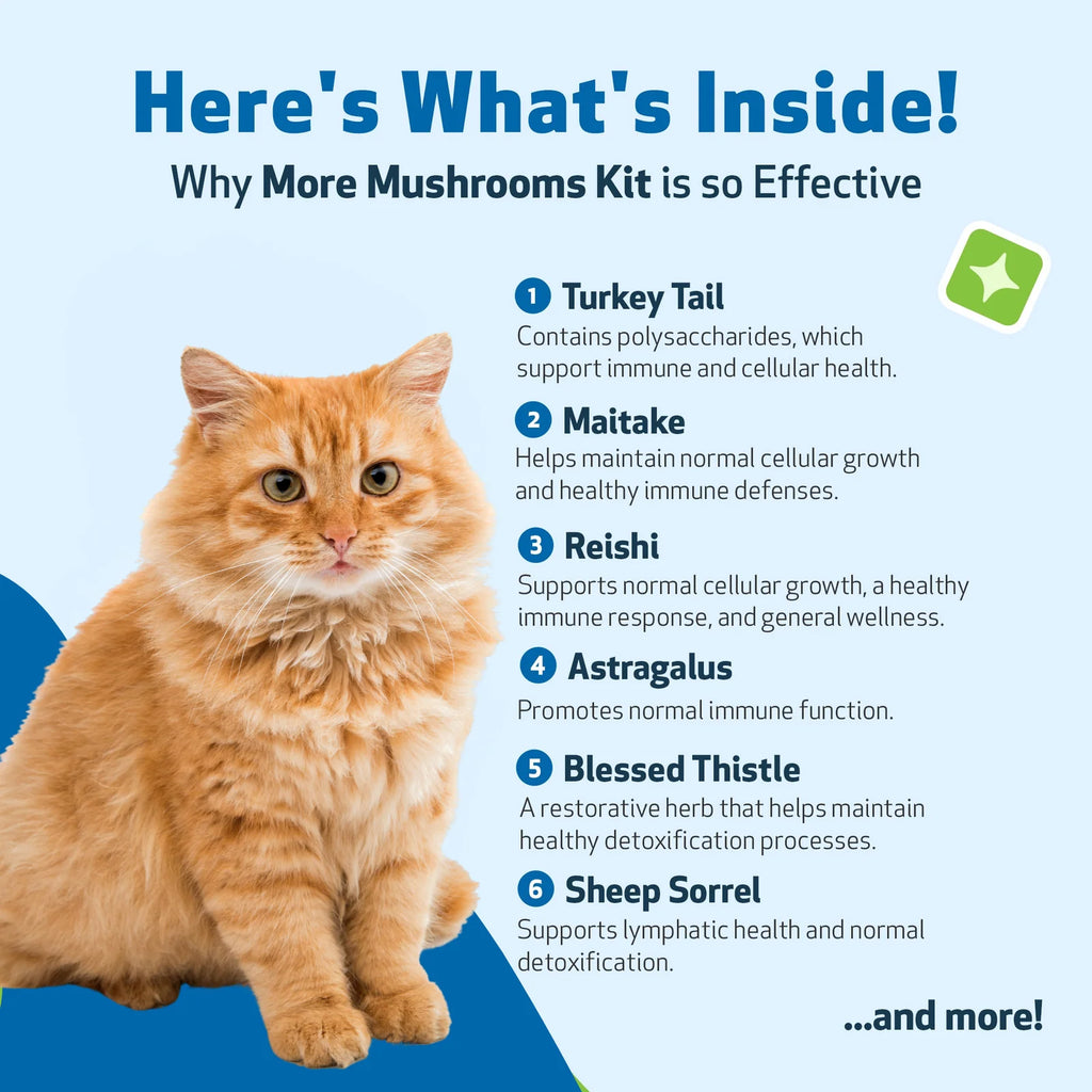 Cat Supplement Kit