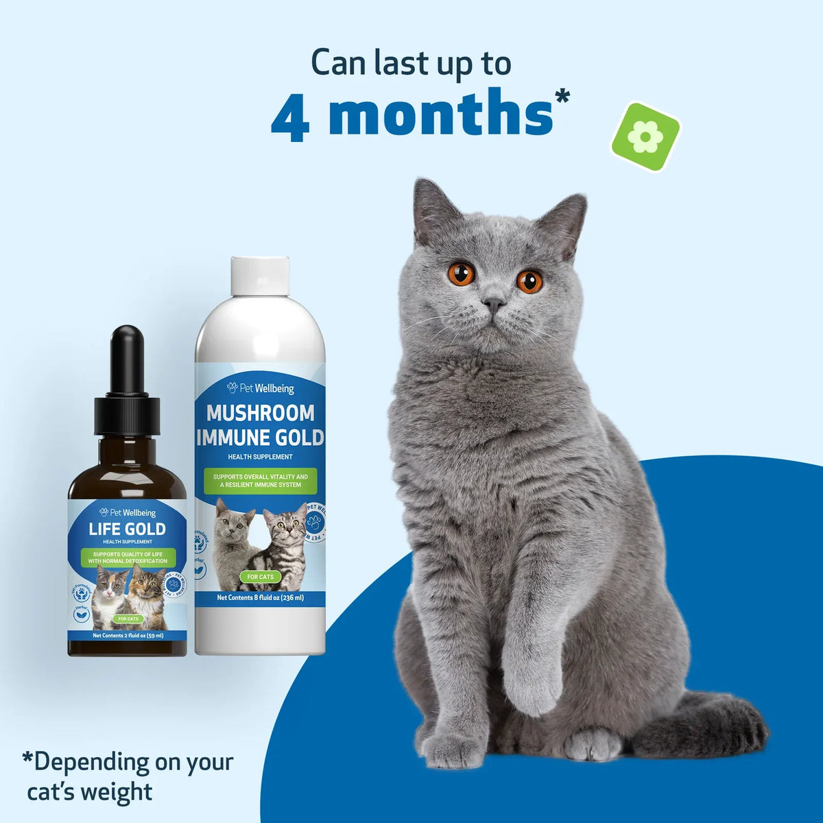 Cat Supplement Kit