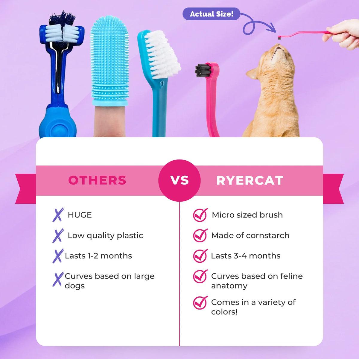 Cat Toothbrush with a Soft Round Brushing Head and Pick End for Everyday Brushing and Molar Grooves