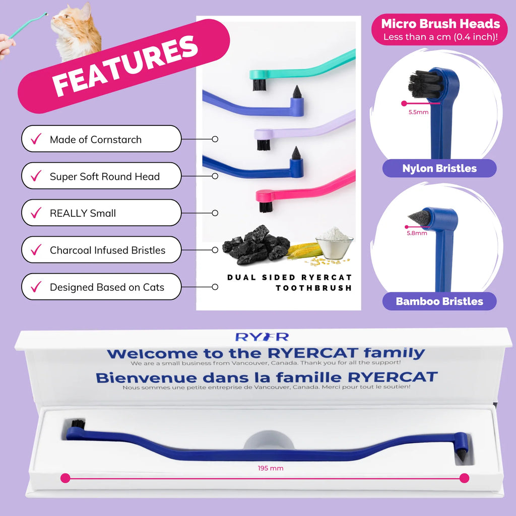 Cat Toothbrush with a Soft Round Brushing Head and Pick End for Everyday Brushing and Molar Grooves