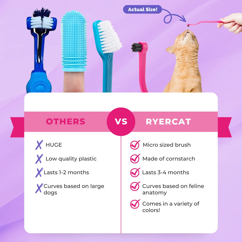 Cat Toothbrush with a Soft Round Brushing Head and Pick End for Everyday Brushing and Molar Grooves