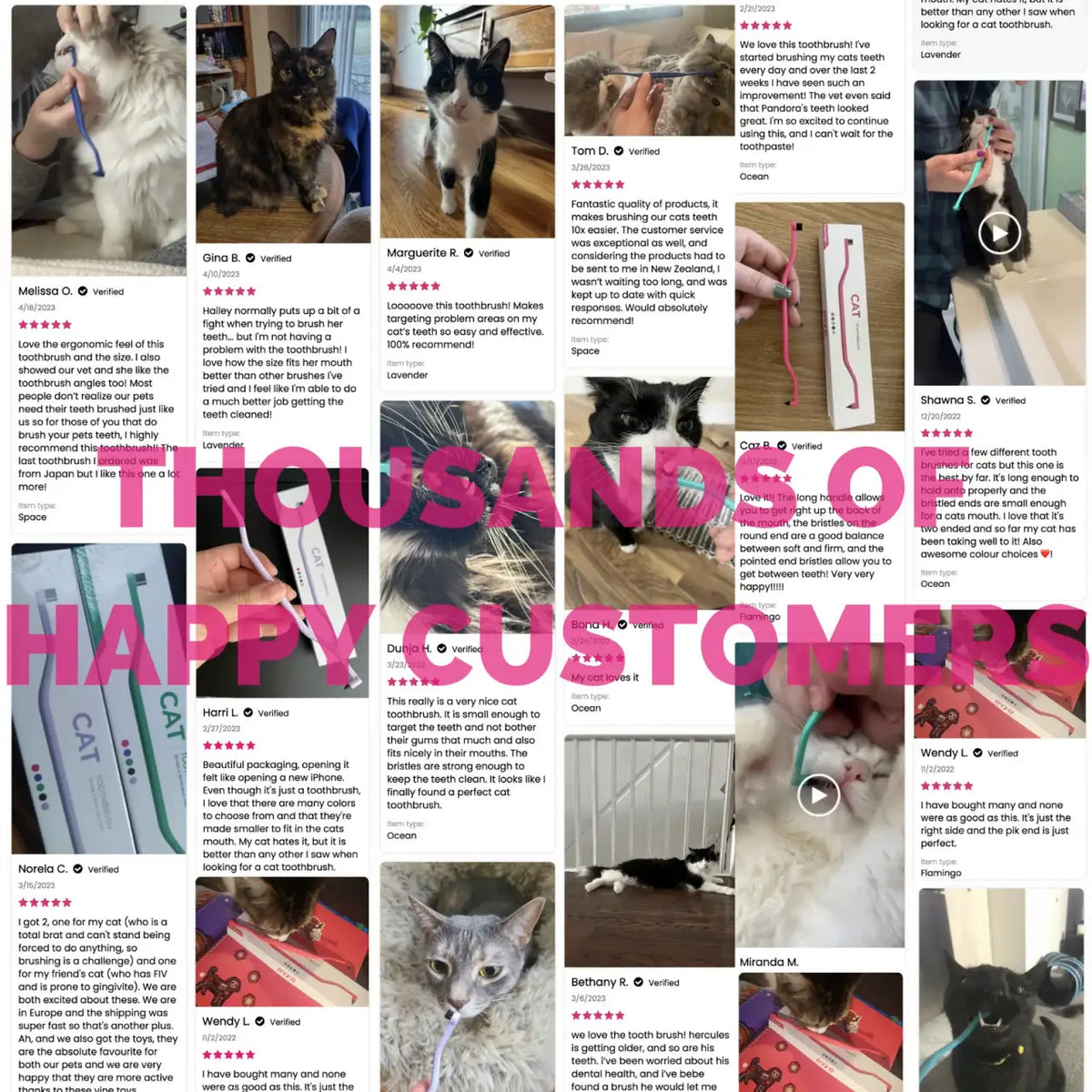 Cat Toothbrush with a Soft Round Brushing Head and Pick End for Everyday Brushing and Molar Grooves