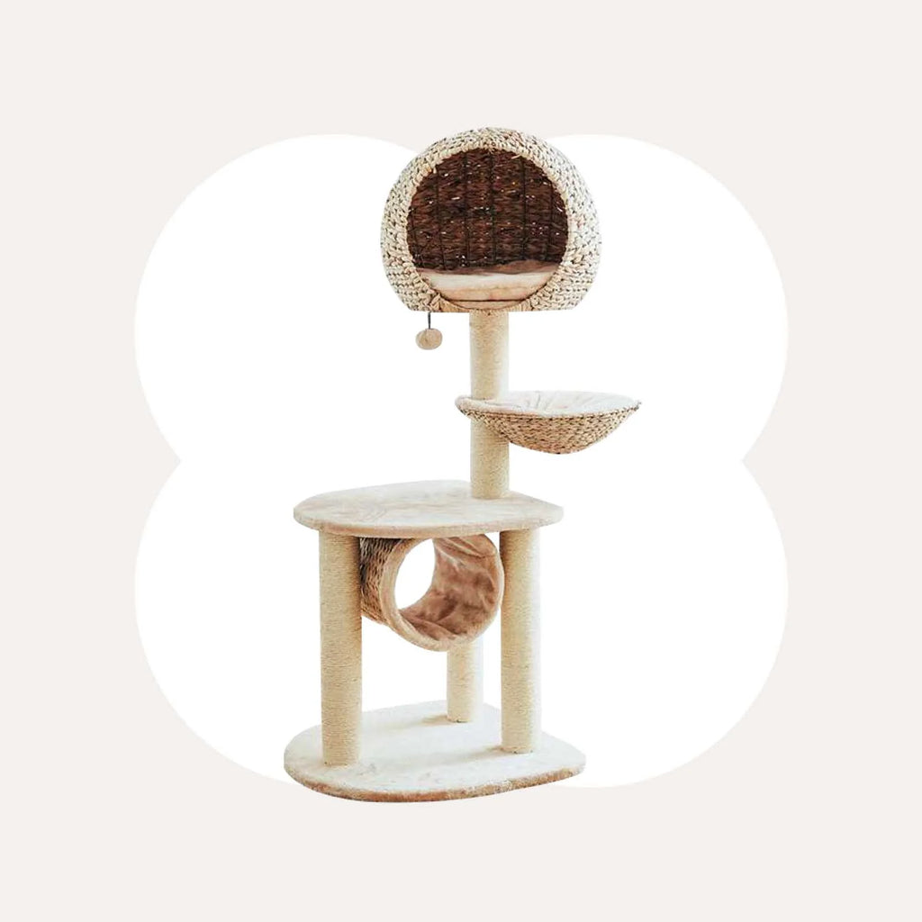 Cat Tree, Local Ready Stock-3-5 Days to