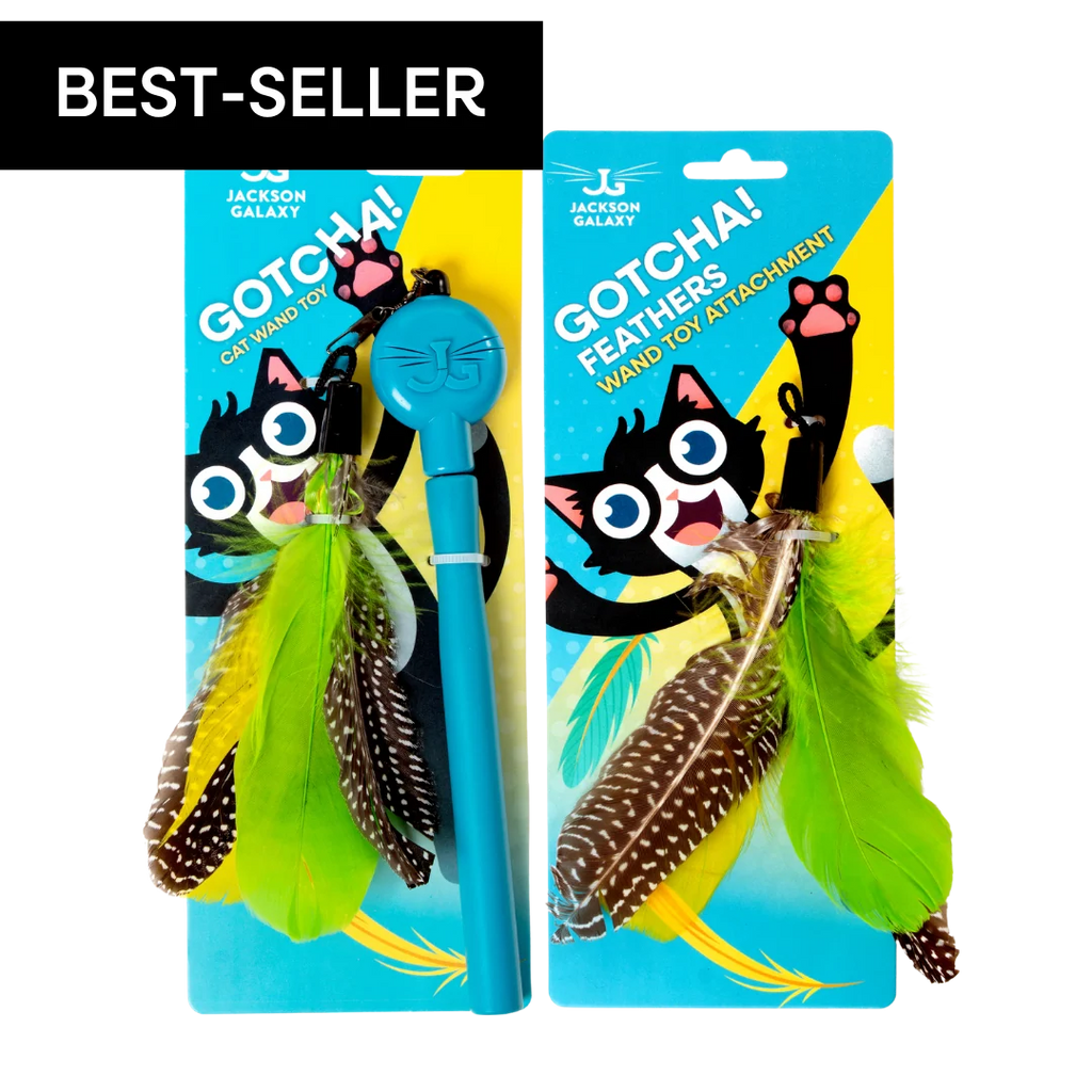 Cat Wand Toy Bundle with Telescoping Feather Wand and Replacement Feather Attachment for Interactive Hunt Play
