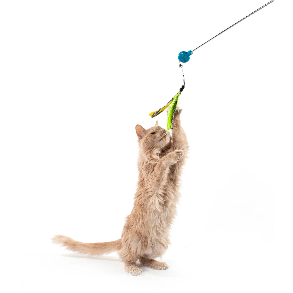 Cat Wand Toy Bundle with Telescoping Feather Wand and Replacement Feather Attachment for Interactive Hunt Play