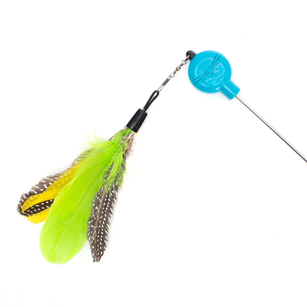Cat Wand Toy Bundle with Telescoping Feather Wand and Replacement Feather Attachment for Interactive Hunt Play