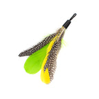 Cat Wand Toy Bundle with Telescoping Feather Wand and Replacement Feather Attachment for Interactive Hunt Play