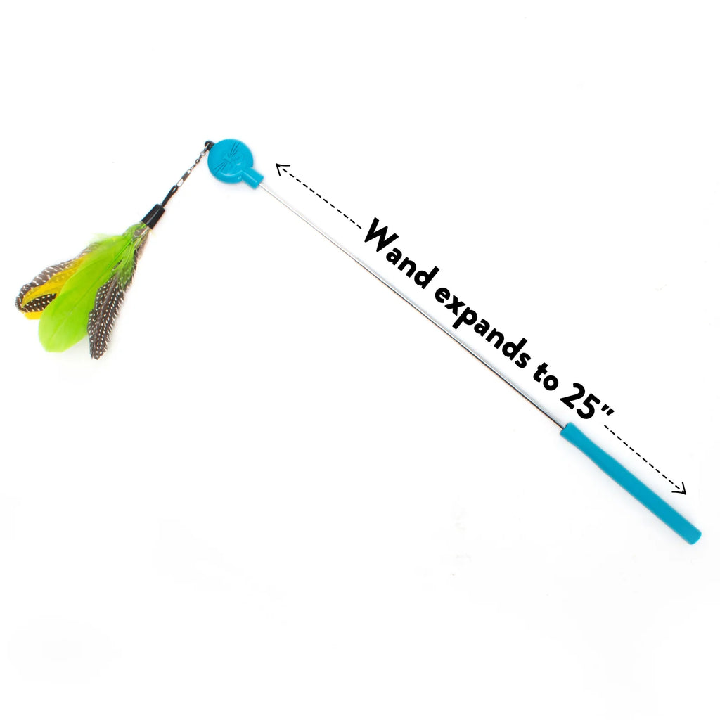 Cat Wand Toy Bundle with Telescoping Feather Wand and Replacement Feather Attachment for Interactive Hunt Play