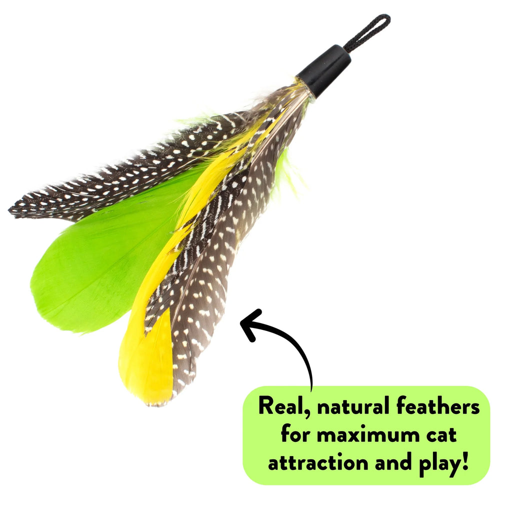 Cat Wand Toy Bundle with Telescoping Feather Wand and Replacement Feather Attachment for Interactive Hunt Play